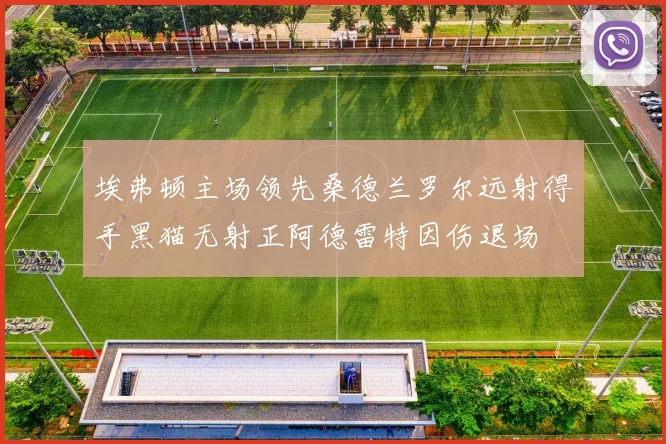 埃弗顿主场领先桑德兰罗尔远射得手黑猫无射正阿德雷特因伤退场