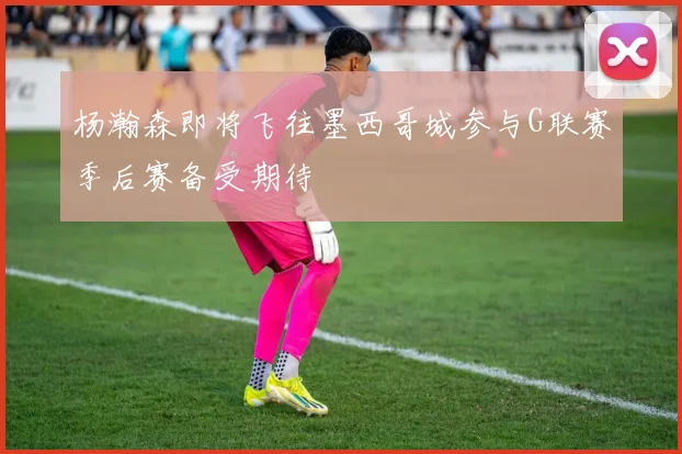 杨瀚森即将飞往墨西哥城参与G联赛季后赛备受期待