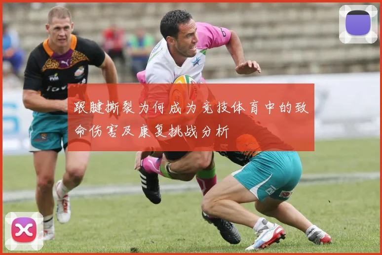 跟腱撕裂为何成为竞技体育中的致命伤害及康复挑战分析