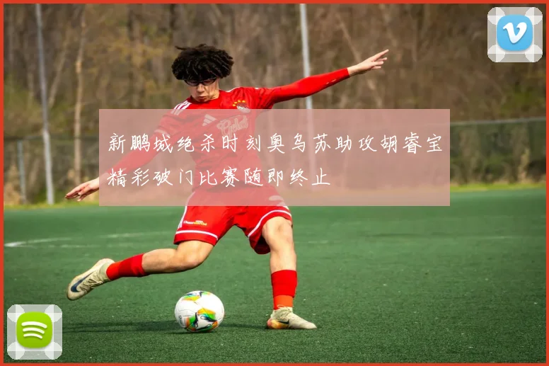 新鹏城绝杀时刻奥乌苏助攻胡睿宝精彩破门比赛随即终止